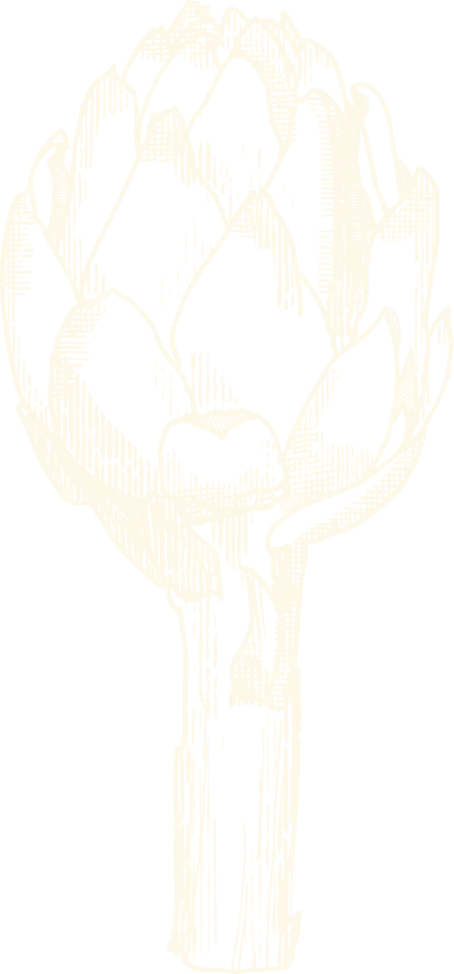 Mühlentor_Artichoke_